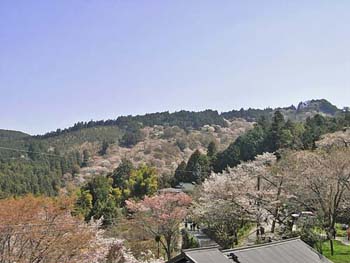b0348195_106922.jpg