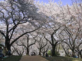 b0348195_106932.jpg