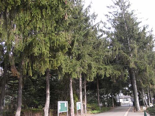b0348195_1652364.jpg