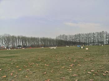 b0348195_1652954.jpg