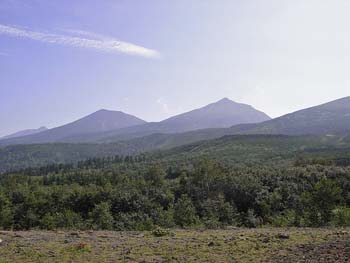 b0348195_852994.jpg