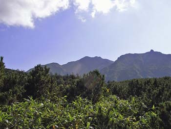 b0348195_85413.jpg