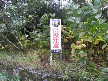 b0348195_854174.jpg