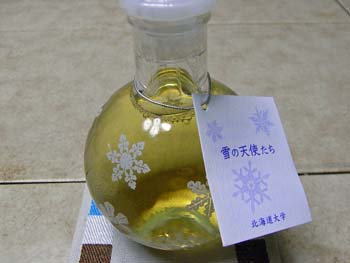 b0348195_855620.jpg