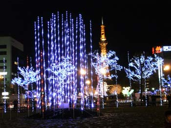 b0348195_86159.jpg
