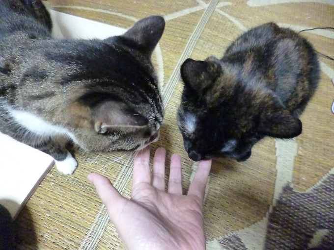 f0305995_18271749.jpg