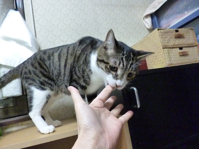 f0305995_1829770.jpg
