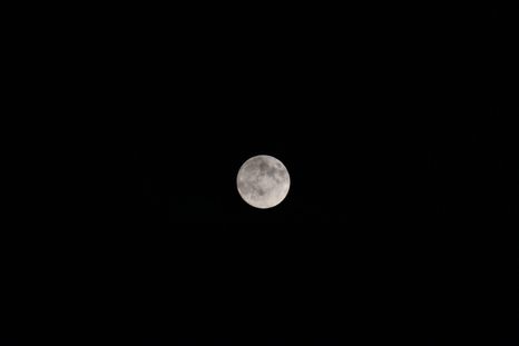 d0281107_218628.jpg