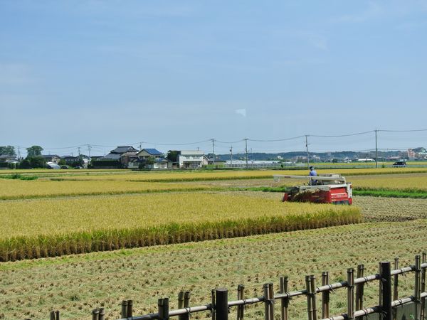 f0006510_22125923.jpg