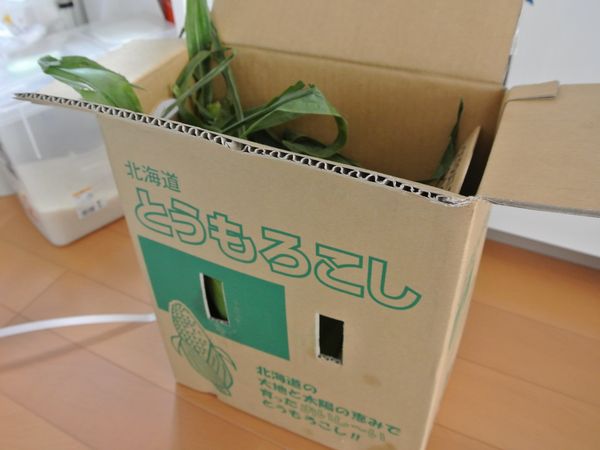 f0006510_2214248.jpg