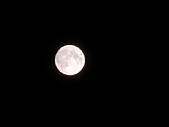 a0043814_20545495.jpg