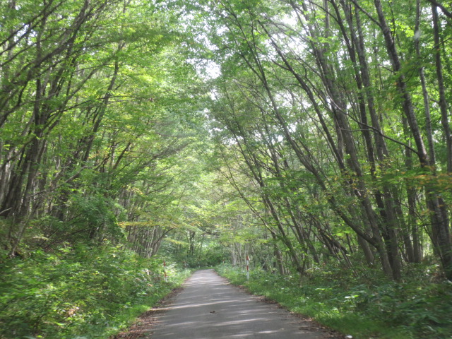 f0248616_2043538.jpg