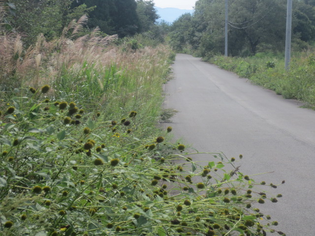 f0248616_20442231.jpg