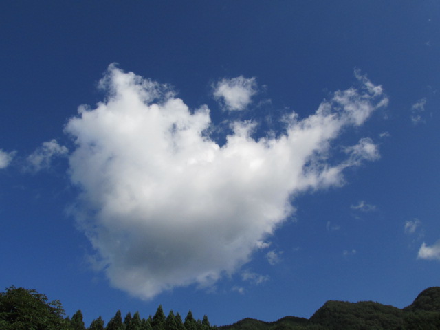 f0341616_07593160.jpg