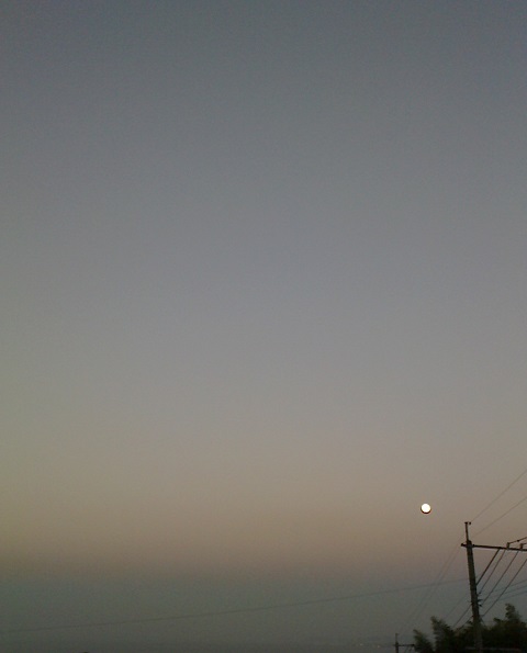 c0097620_20122394.jpg