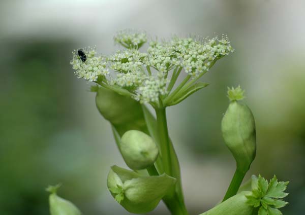 f0147025_20122553.jpg