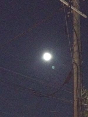 c0201427_22432891.jpg