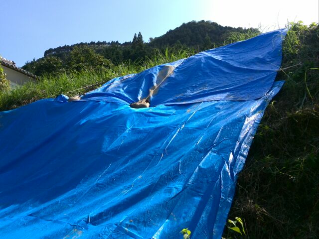 f0111128_00305259.jpg