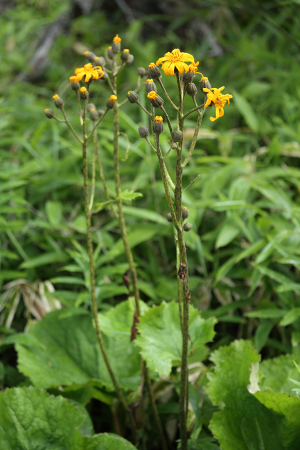f0017530_21594940.jpg