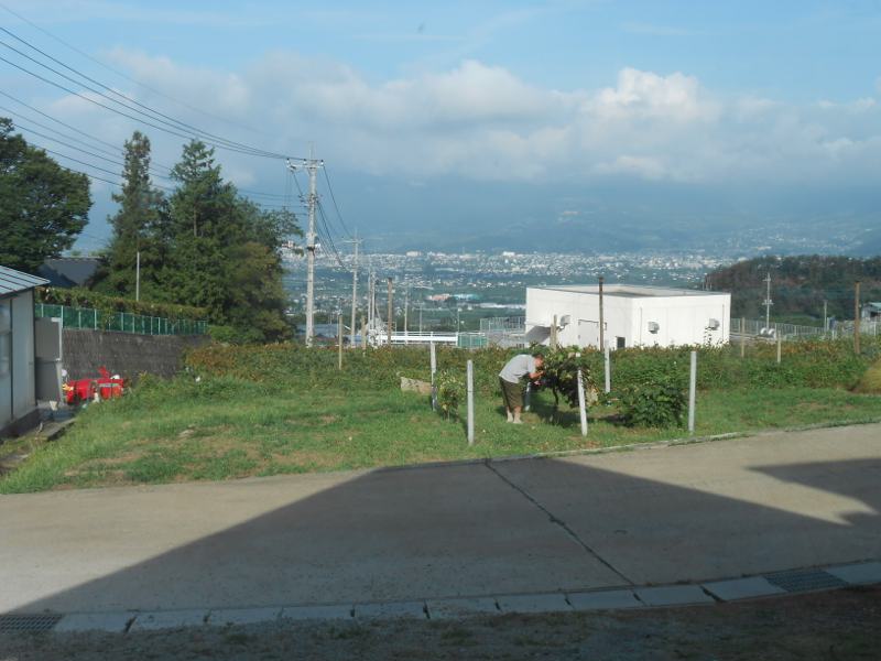 a0095931_1151235.jpg