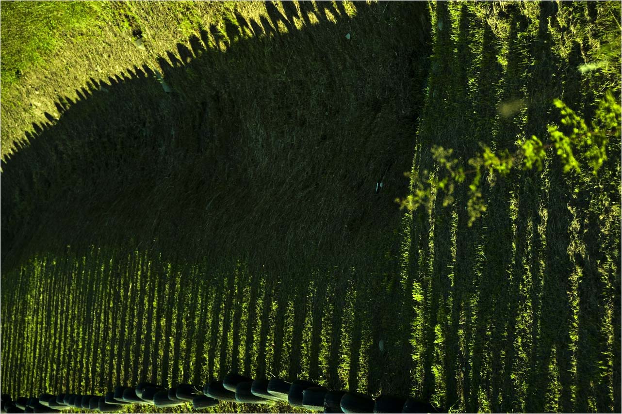 a0245331_20383119.jpg