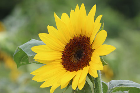 c0068639_2255835.jpg