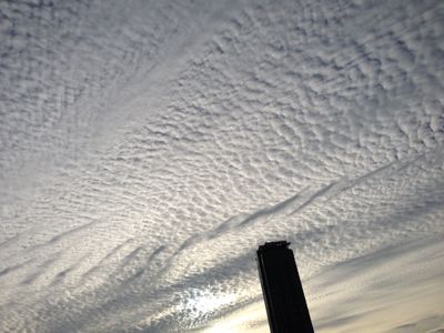 b0327247_15474388.jpg