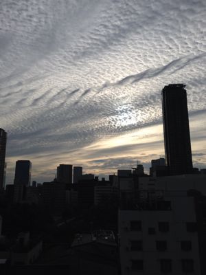 b0327247_15474489.jpg