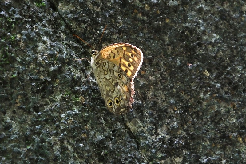 b0236251_15553637.jpg