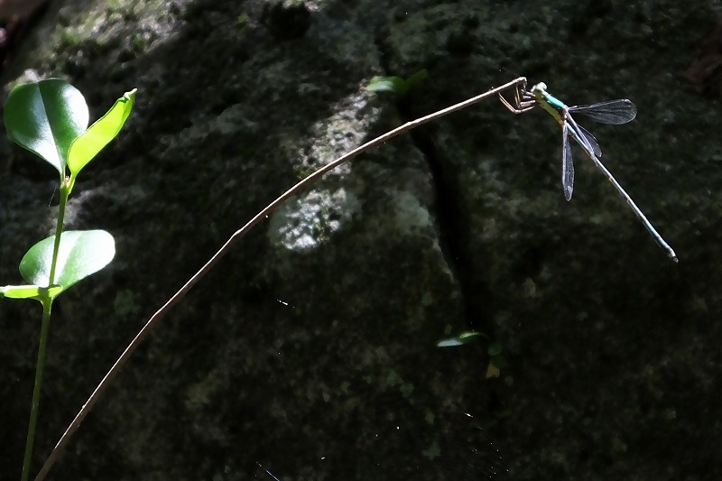 b0236251_15563597.jpg