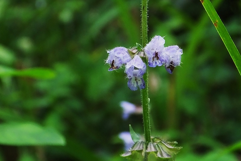 b0236251_1610557.jpg