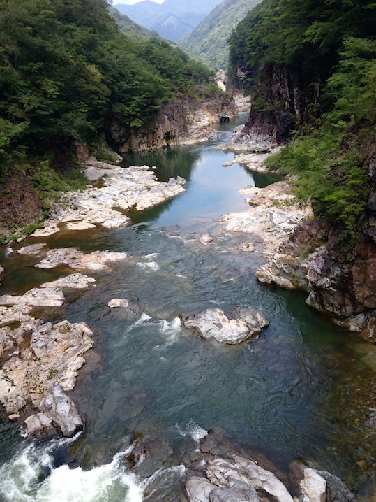 a0119252_1719539.jpg