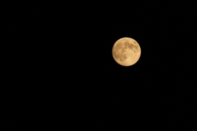 a0256354_21102554.jpg