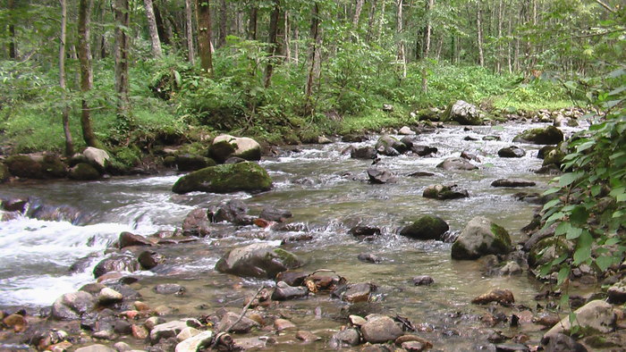 b0208961_8301959.jpg