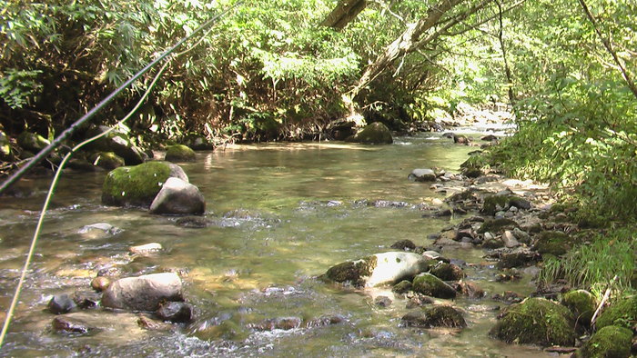 b0208961_8364438.jpg