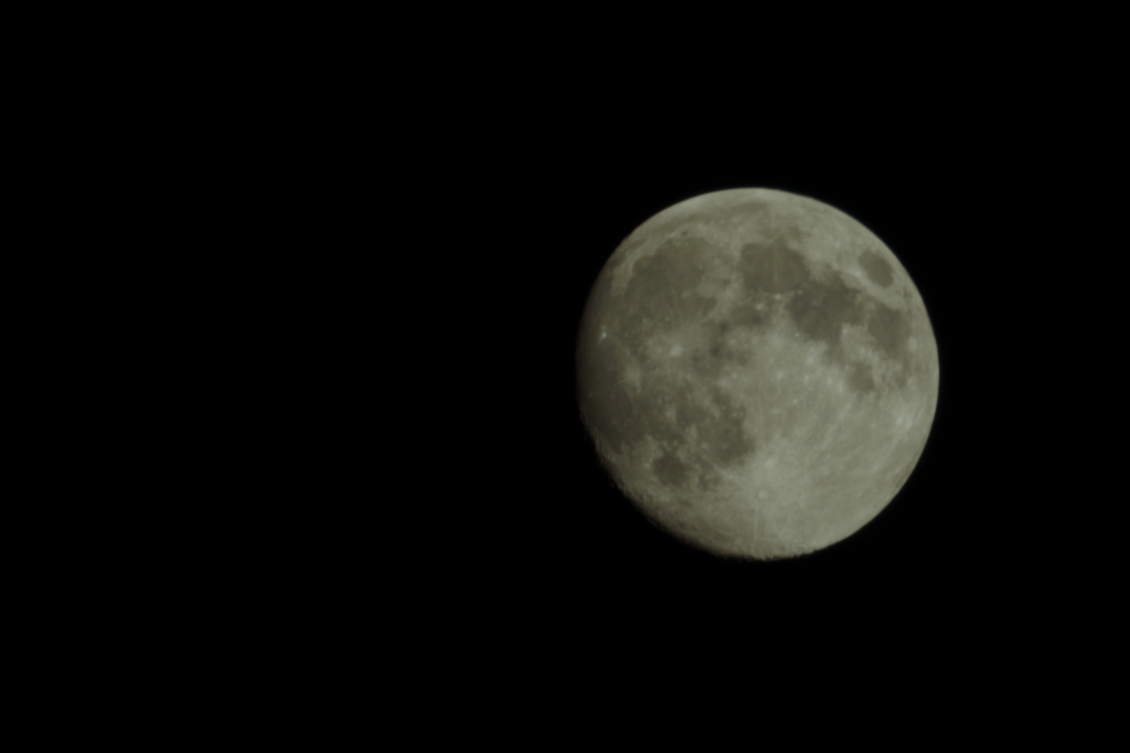 d0155763_10165362.jpg