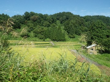 b0079965_7573626.jpg