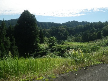 b0079965_7582741.jpg