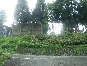 b0079965_7592879.jpg
