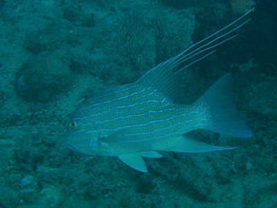 b0033573_17060824.jpg