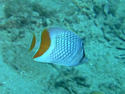 b0033573_17061549.jpg