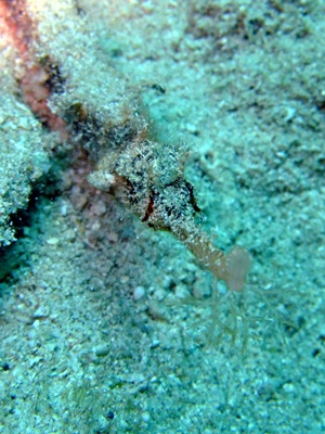 b0033573_17062184.jpg