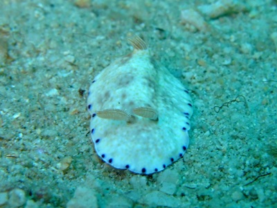 b0033573_17063238.jpg