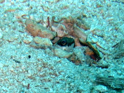 b0033573_17063724.jpg