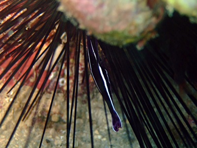b0033573_17065355.jpg