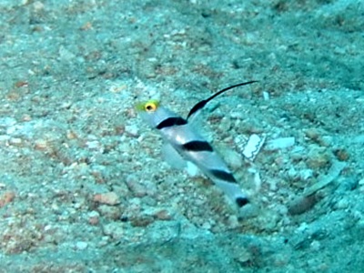 b0033573_17070610.jpg
