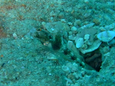b0033573_17071905.jpg