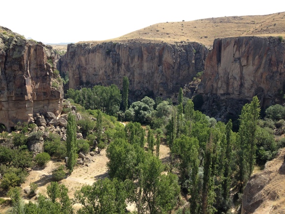 b0096273_2246205.jpg