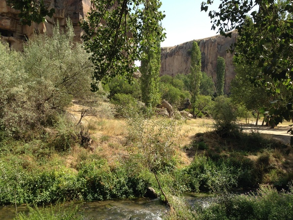 b0096273_225386.jpg