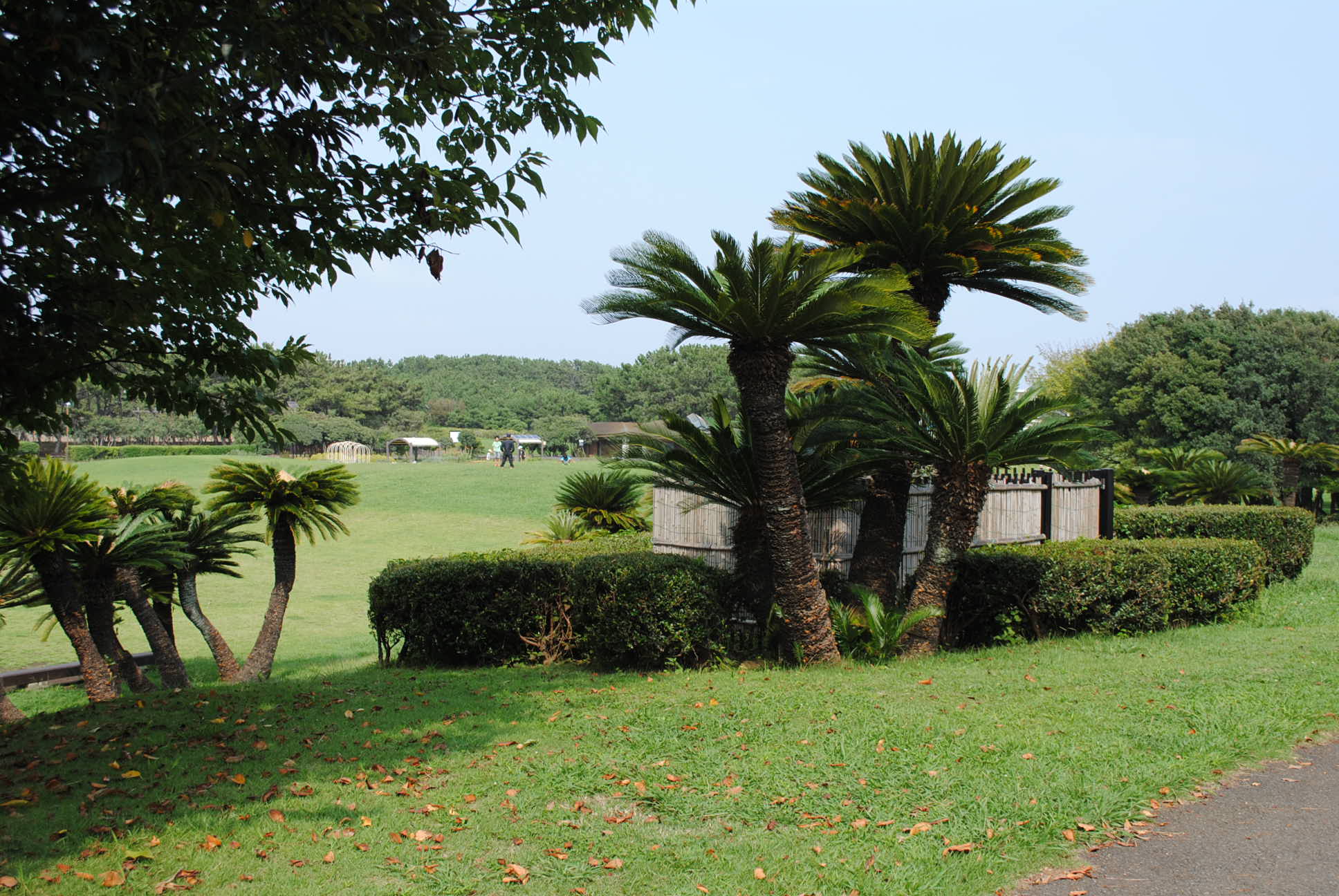 b0242873_12525005.jpg